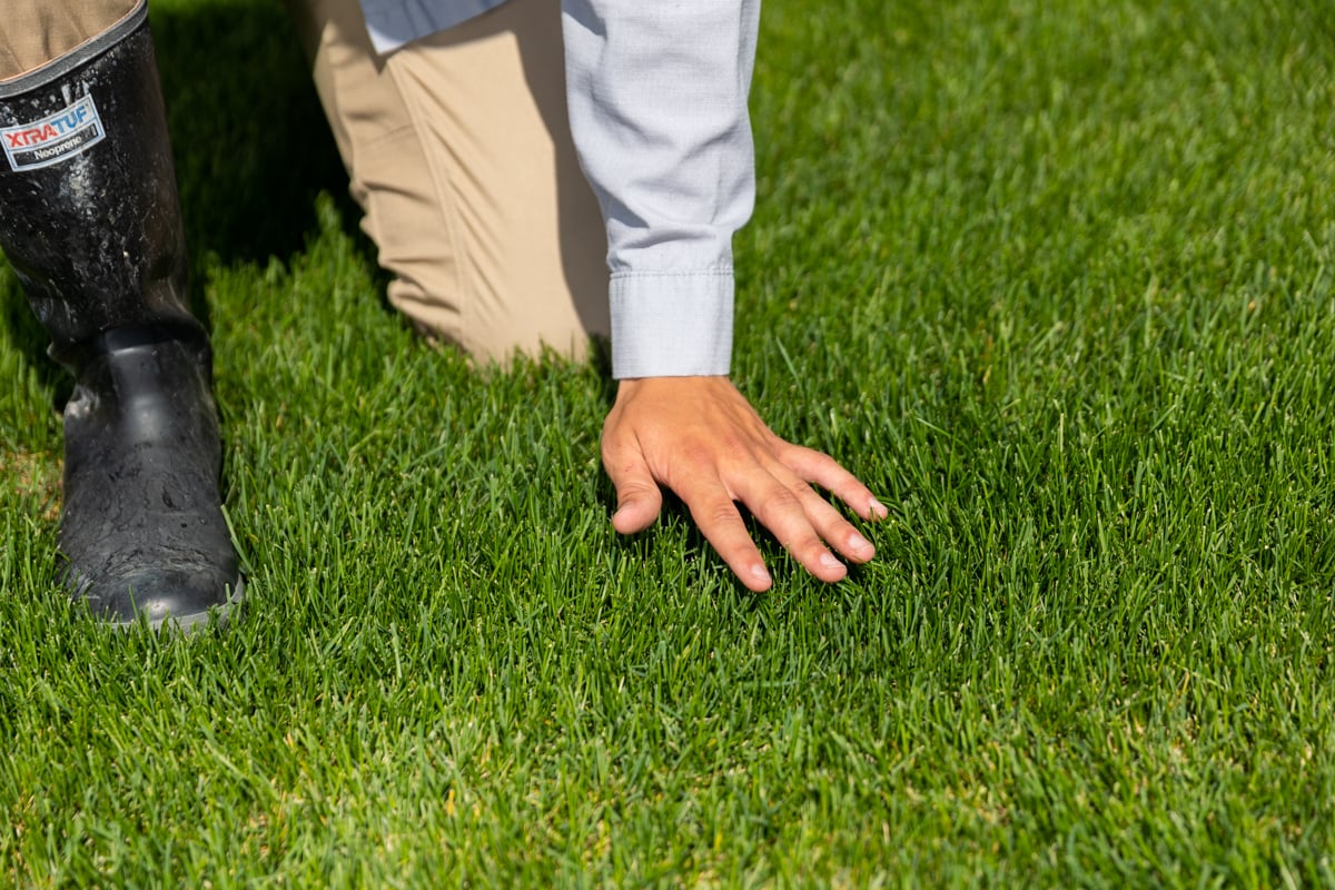 How Soil Testing Determines Your Lawn's pH & Builds Better Lawn Care
